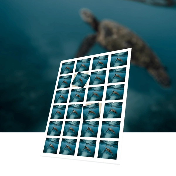 Square Stickers