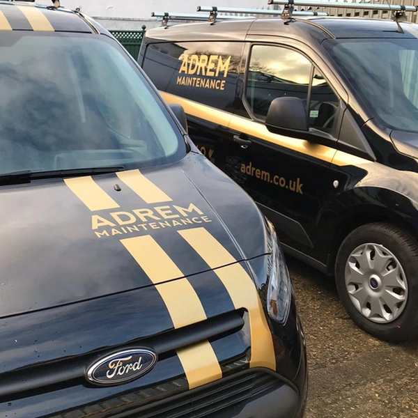 Small Van Graphics Adrem Gold