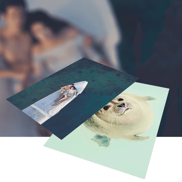 Premium Posters 190mic
